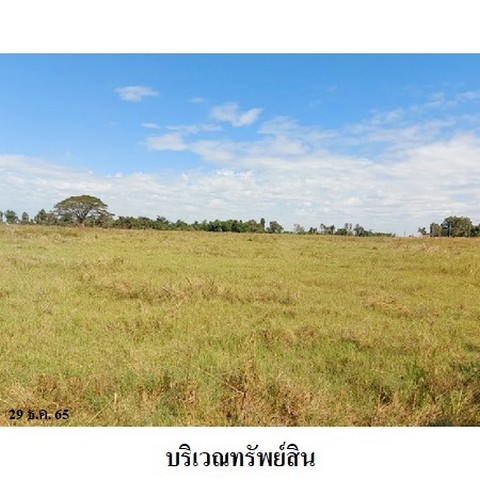 ประกาศฟรี! ซื้อ-ขาย-เช่า คอนโด บ้าน ทาวน์โฮม ที่ดิน และพื้นที่เชิงพาณิชย์ทั่วประเทศไทย ทุกทำเล ทุกงบประมาณ ไม่มีค่าใช้จ่าย ลงง่าย ขายไว เข้าถึงผู้ซื้อโดยตรง 5 237882pic4.jpg