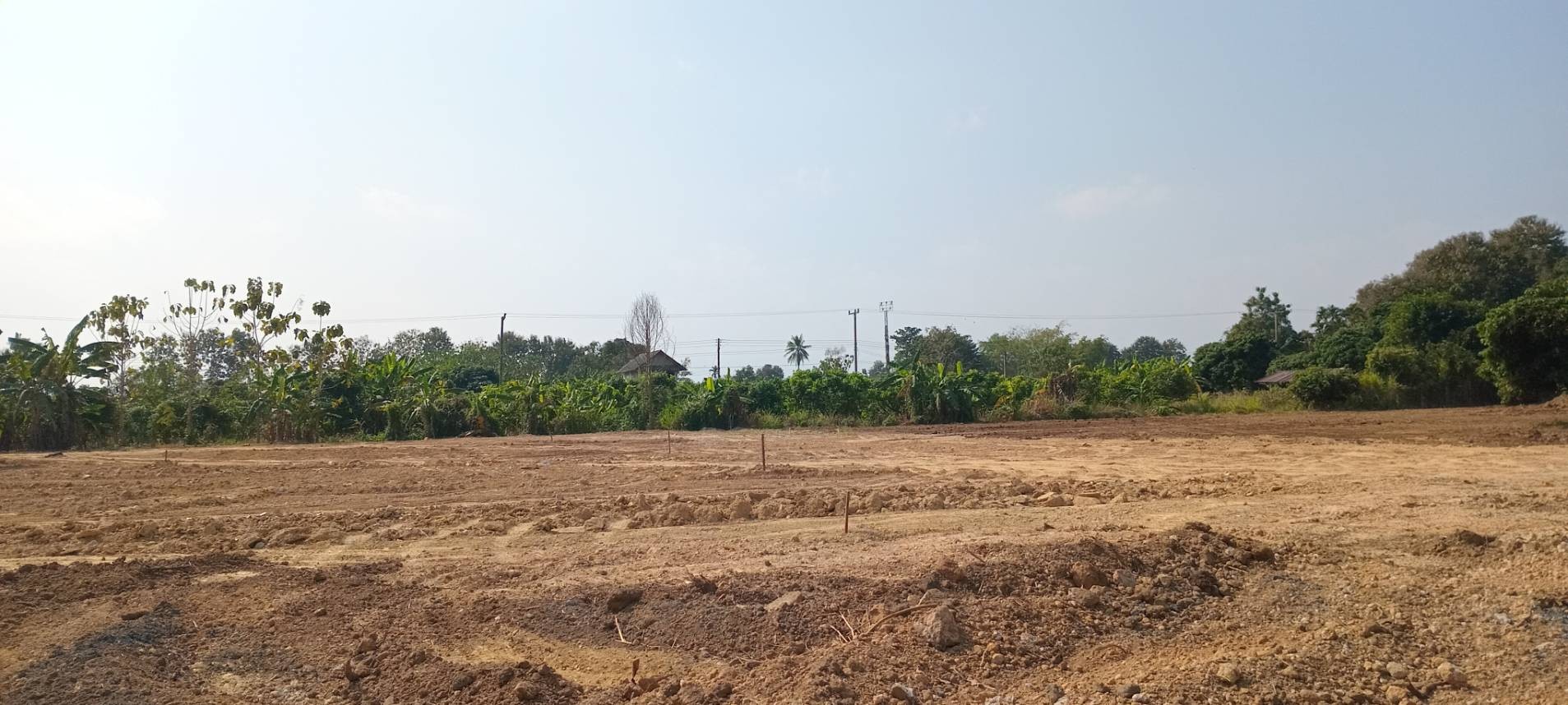 ประกาศฟรี! ซื้อ-ขาย-เช่า คอนโด บ้าน ทาวน์โฮม ที่ดิน และพื้นที่เชิงพาณิชย์ทั่วประเทศไทย ทุกทำเล ทุกงบประมาณ ไม่มีค่าใช้จ่าย ลงง่าย ขายไว เข้าถึงผู้ซื้อโดยตรง 4 314736pic3.jpg