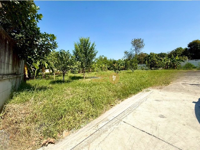 ประกาศฟรี! ซื้อ-ขาย-เช่า คอนโด บ้าน ทาวน์โฮม ที่ดิน และพื้นที่เชิงพาณิชย์ทั่วประเทศไทย ทุกทำเล ทุกงบประมาณ ไม่มีค่าใช้จ่าย ลงง่าย ขายไว เข้าถึงผู้ซื้อโดยตรง 5 251837pic4.jpg