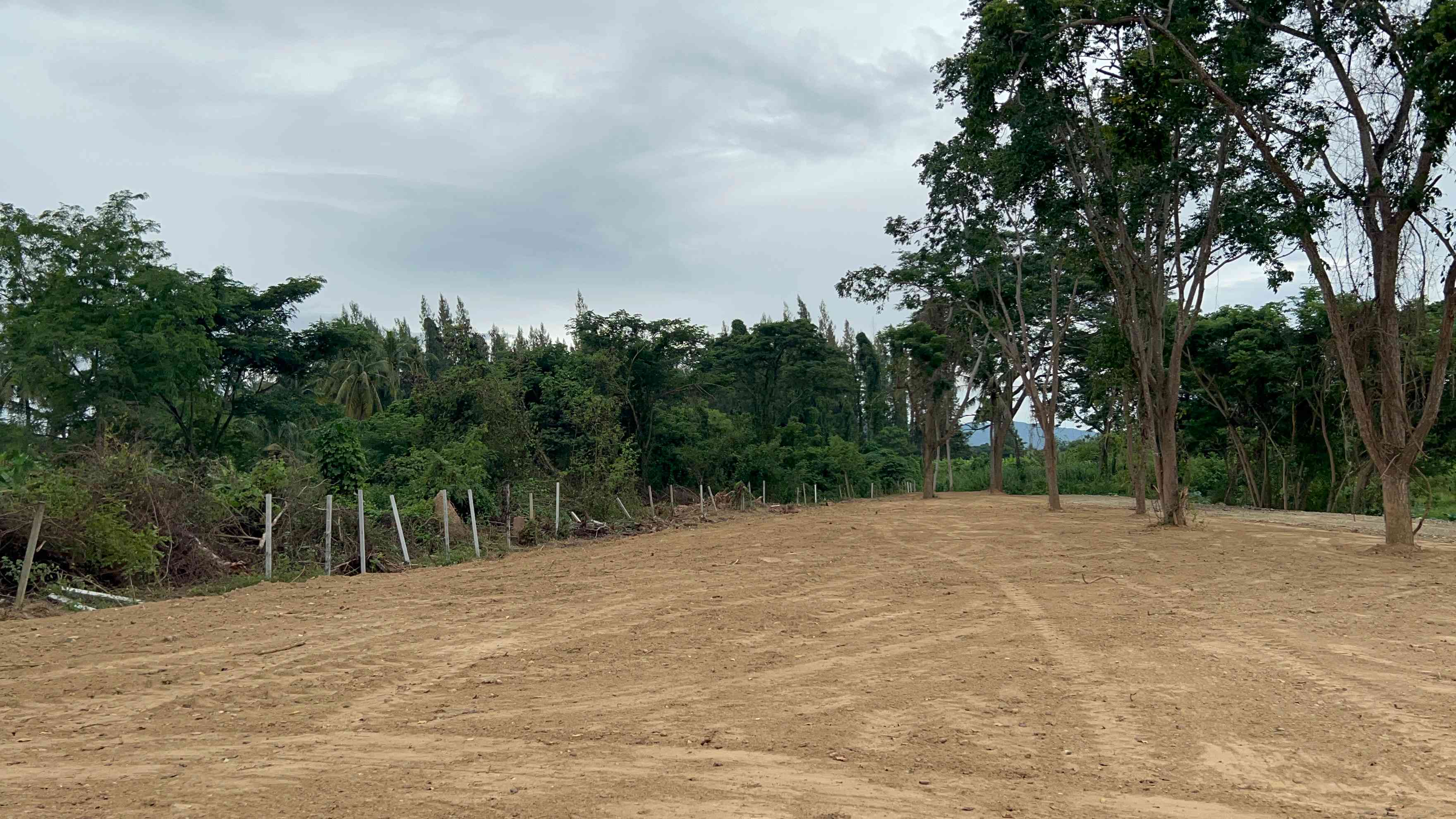 ประกาศฟรี! ซื้อ-ขาย-เช่า คอนโด บ้าน ทาวน์โฮม ที่ดิน และพื้นที่เชิงพาณิชย์ทั่วประเทศไทย ทุกทำเล ทุกงบประมาณ ไม่มีค่าใช้จ่าย ลงง่าย ขายไว เข้าถึงผู้ซื้อโดยตรง 2 314734pic1.jpg