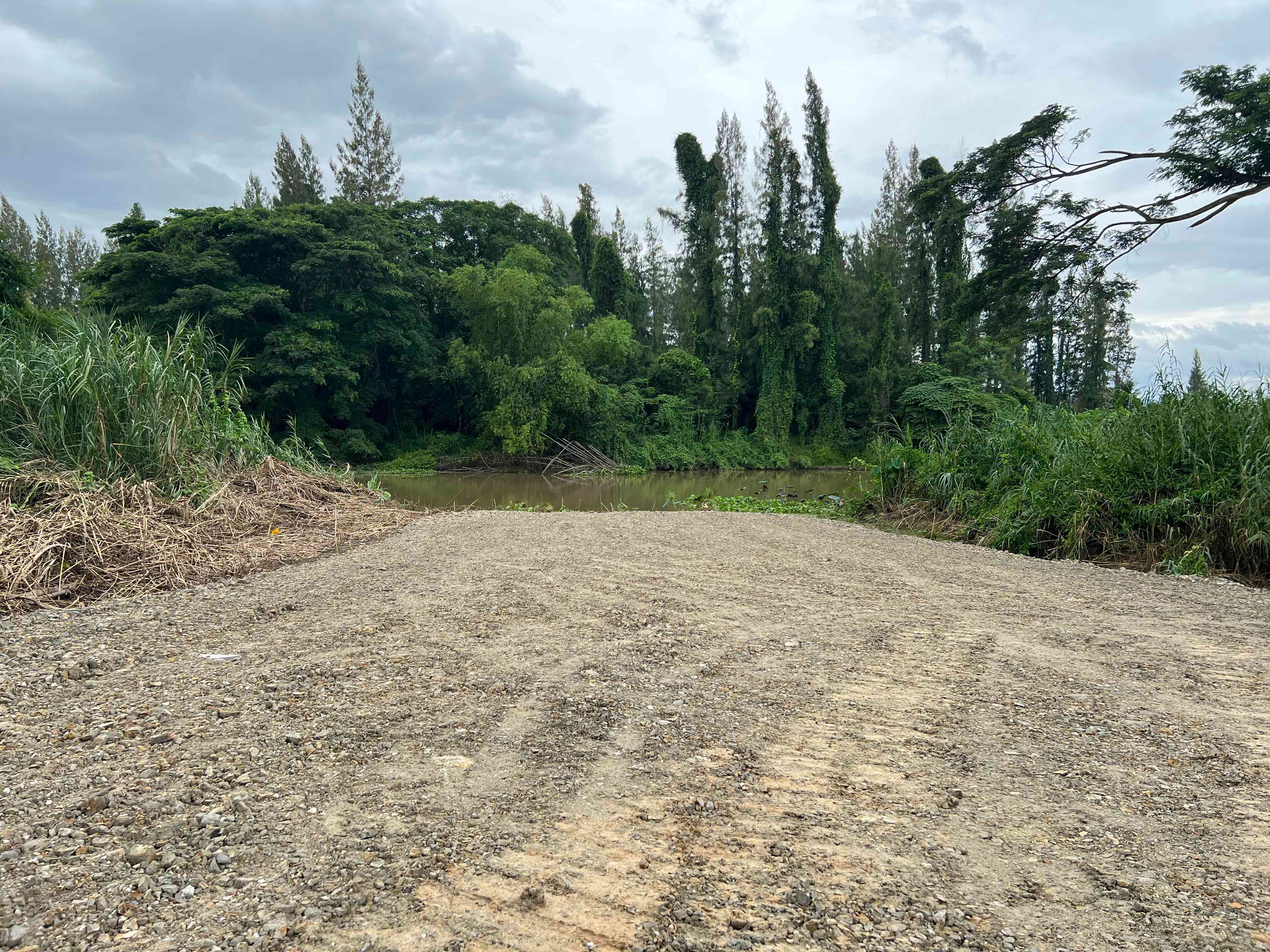 ประกาศฟรี! ซื้อ-ขาย-เช่า คอนโด บ้าน ทาวน์โฮม ที่ดิน และพื้นที่เชิงพาณิชย์ทั่วประเทศไทย ทุกทำเล ทุกงบประมาณ ไม่มีค่าใช้จ่าย ลงง่าย ขายไว เข้าถึงผู้ซื้อโดยตรง 3 314734pic2.jpg