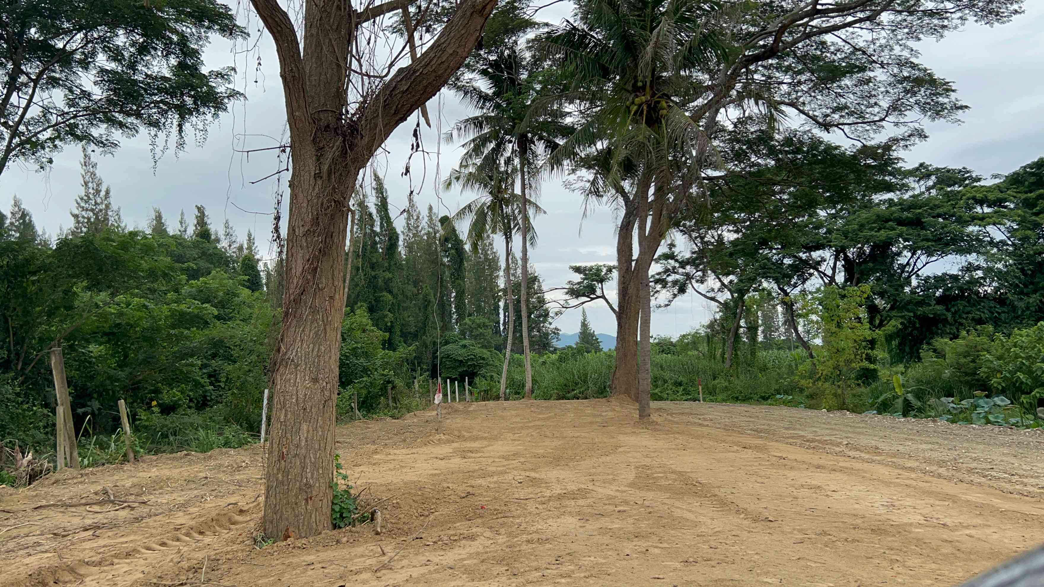 ประกาศฟรี! ซื้อ-ขาย-เช่า คอนโด บ้าน ทาวน์โฮม ที่ดิน และพื้นที่เชิงพาณิชย์ทั่วประเทศไทย ทุกทำเล ทุกงบประมาณ ไม่มีค่าใช้จ่าย ลงง่าย ขายไว เข้าถึงผู้ซื้อโดยตรง 4 314734pic3.jpg