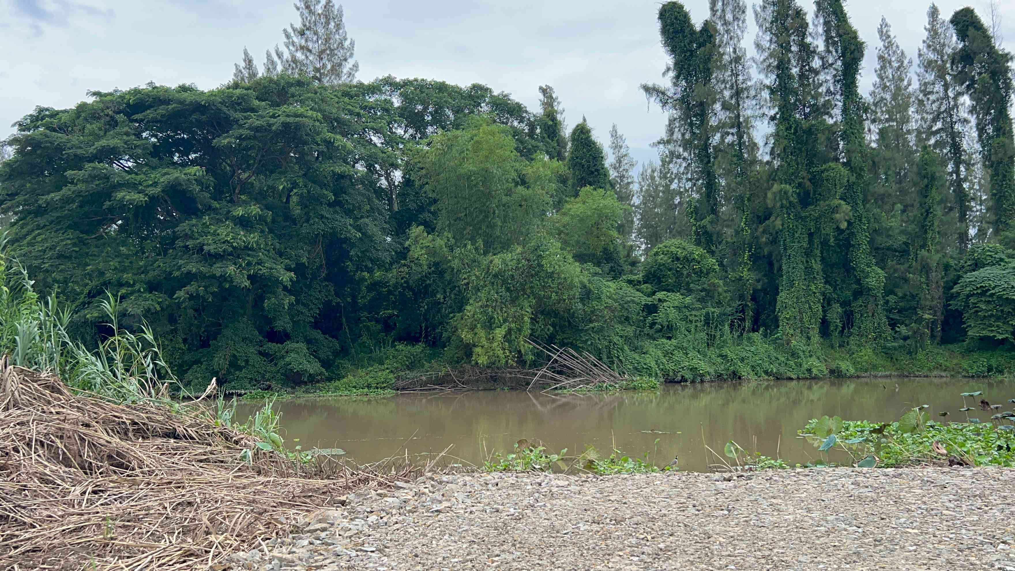 ประกาศฟรี! ซื้อ-ขาย-เช่า คอนโด บ้าน ทาวน์โฮม ที่ดิน และพื้นที่เชิงพาณิชย์ทั่วประเทศไทย ทุกทำเล ทุกงบประมาณ ไม่มีค่าใช้จ่าย ลงง่าย ขายไว เข้าถึงผู้ซื้อโดยตรง 5 314734pic4.jpg