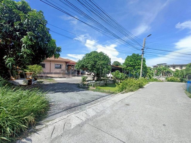 ประกาศฟรี! ซื้อ-ขาย-เช่า คอนโด บ้าน ทาวน์โฮม ที่ดิน และพื้นที่เชิงพาณิชย์ทั่วประเทศไทย ทุกทำเล ทุกงบประมาณ ไม่มีค่าใช้จ่าย ลงง่าย ขายไว เข้าถึงผู้ซื้อโดยตรง 4 222515pic3.jpg