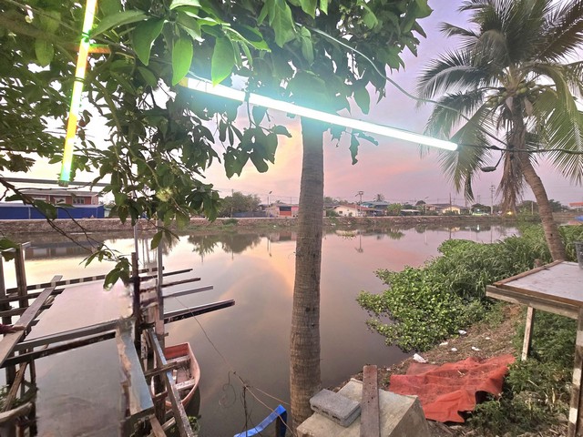 ประกาศฟรี! ซื้อ-ขาย-เช่า คอนโด บ้าน ทาวน์โฮม ที่ดิน และพื้นที่เชิงพาณิชย์ทั่วประเทศไทย ทุกทำเล ทุกงบประมาณ ไม่มีค่าใช้จ่าย ลงง่าย ขายไว เข้าถึงผู้ซื้อโดยตรง 2 314817pic1.jpg