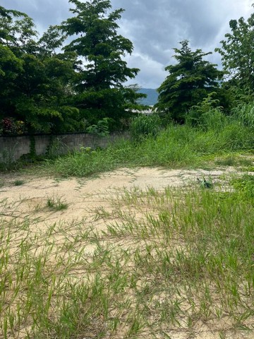 ประกาศฟรี! ซื้อ-ขาย-เช่า คอนโด บ้าน ทาวน์โฮม ที่ดิน และพื้นที่เชิงพาณิชย์ทั่วประเทศไทย ทุกทำเล ทุกงบประมาณ ไม่มีค่าใช้จ่าย ลงง่าย ขายไว เข้าถึงผู้ซื้อโดยตรง 3 251895pic2.jpg