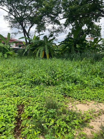 ประกาศฟรี! ซื้อ-ขาย-เช่า คอนโด บ้าน ทาวน์โฮม ที่ดิน และพื้นที่เชิงพาณิชย์ทั่วประเทศไทย ทุกทำเล ทุกงบประมาณ ไม่มีค่าใช้จ่าย ลงง่าย ขายไว เข้าถึงผู้ซื้อโดยตรง 4 251895pic3.jpg