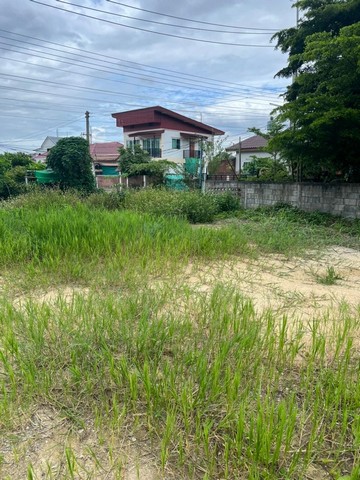 ประกาศฟรี! ซื้อ-ขาย-เช่า คอนโด บ้าน ทาวน์โฮม ที่ดิน และพื้นที่เชิงพาณิชย์ทั่วประเทศไทย ทุกทำเล ทุกงบประมาณ ไม่มีค่าใช้จ่าย ลงง่าย ขายไว เข้าถึงผู้ซื้อโดยตรง 5 251895pic4.jpg