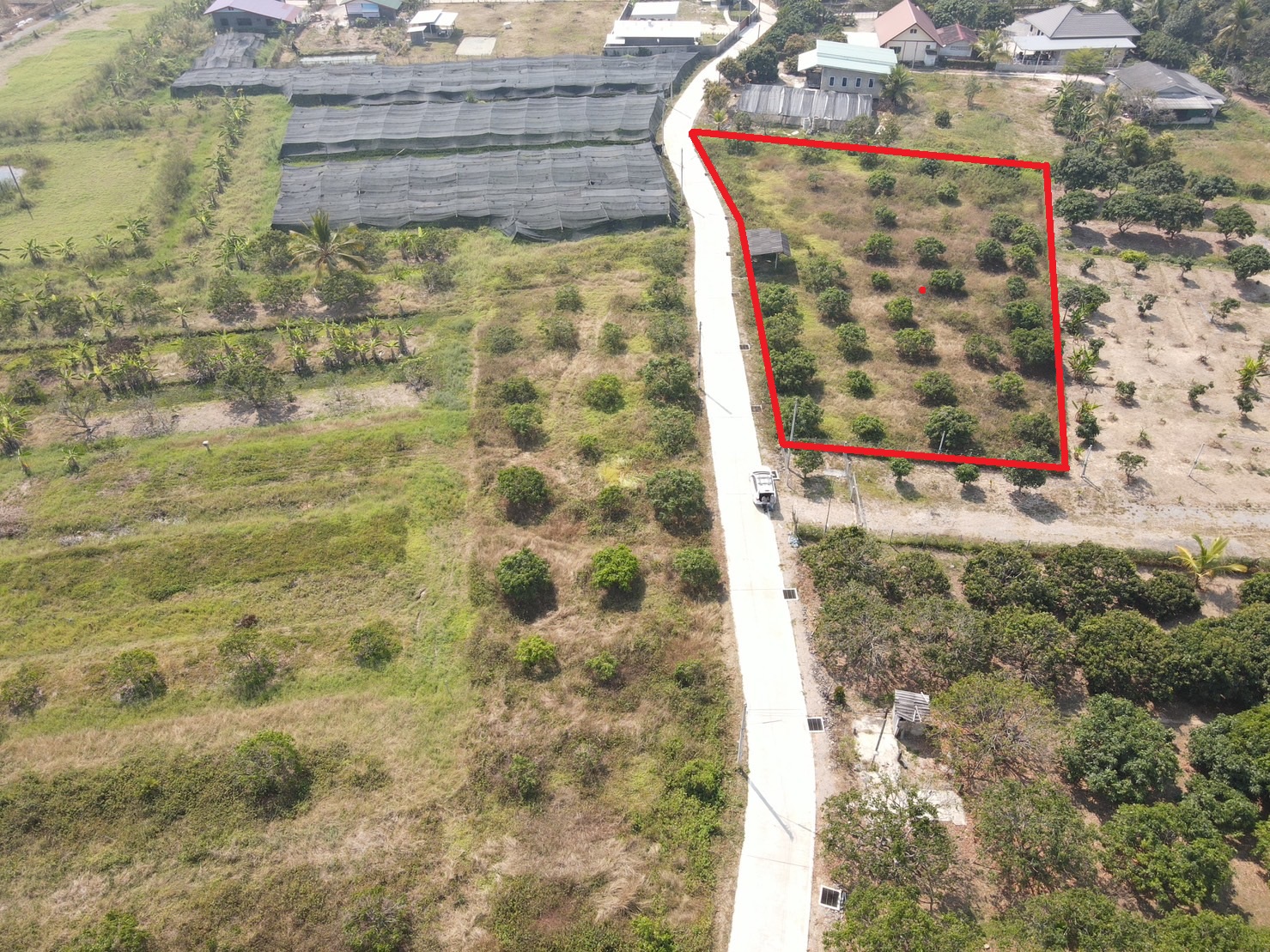 ประกาศฟรี! ซื้อ-ขาย-เช่า คอนโด บ้าน ทาวน์โฮม ที่ดิน และพื้นที่เชิงพาณิชย์ทั่วประเทศไทย ทุกทำเล ทุกงบประมาณ ไม่มีค่าใช้จ่าย ลงง่าย ขายไว เข้าถึงผู้ซื้อโดยตรง 5 314831pic4.jpg