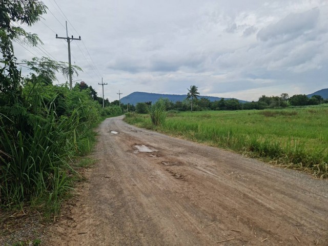 ประกาศฟรี! ซื้อ-ขาย-เช่า คอนโด บ้าน ทาวน์โฮม ที่ดิน และพื้นที่เชิงพาณิชย์ทั่วประเทศไทย ทุกทำเล ทุกงบประมาณ ไม่มีค่าใช้จ่าย ลงง่าย ขายไว เข้าถึงผู้ซื้อโดยตรง 2 294469pic1.jpg