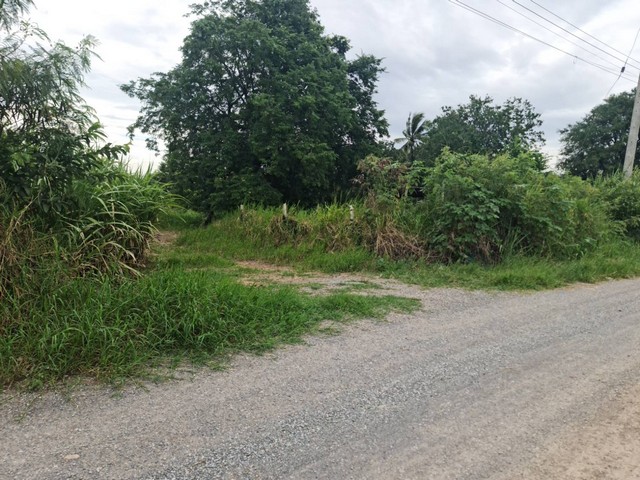 ประกาศฟรี! ซื้อ-ขาย-เช่า คอนโด บ้าน ทาวน์โฮม ที่ดิน และพื้นที่เชิงพาณิชย์ทั่วประเทศไทย ทุกทำเล ทุกงบประมาณ ไม่มีค่าใช้จ่าย ลงง่าย ขายไว เข้าถึงผู้ซื้อโดยตรง 3 294469pic2.jpg