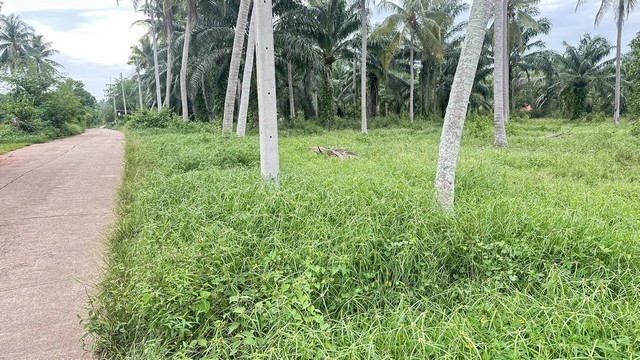 ประกาศฟรี! ซื้อ-ขาย-เช่า คอนโด บ้าน ทาวน์โฮม ที่ดิน และพื้นที่เชิงพาณิชย์ทั่วประเทศไทย ทุกทำเล ทุกงบประมาณ ไม่มีค่าใช้จ่าย ลงง่าย ขายไว เข้าถึงผู้ซื้อโดยตรง 3 294468pic2.jpg