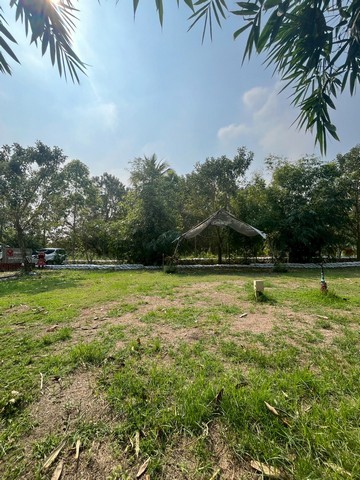 ประกาศฟรี! ซื้อ-ขาย-เช่า คอนโด บ้าน ทาวน์โฮม ที่ดิน และพื้นที่เชิงพาณิชย์ทั่วประเทศไทย ทุกทำเล ทุกงบประมาณ ไม่มีค่าใช้จ่าย ลงง่าย ขายไว เข้าถึงผู้ซื้อโดยตรง 4 314852pic3.jpg