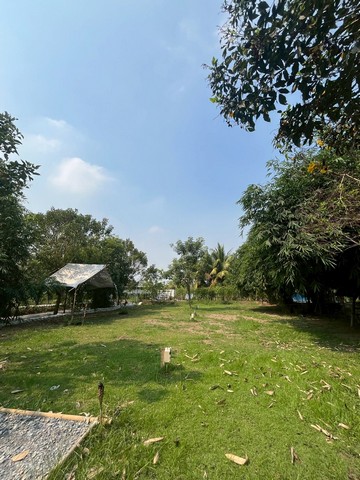 ประกาศฟรี! ซื้อ-ขาย-เช่า คอนโด บ้าน ทาวน์โฮม ที่ดิน และพื้นที่เชิงพาณิชย์ทั่วประเทศไทย ทุกทำเล ทุกงบประมาณ ไม่มีค่าใช้จ่าย ลงง่าย ขายไว เข้าถึงผู้ซื้อโดยตรง 5 314852pic4.jpg