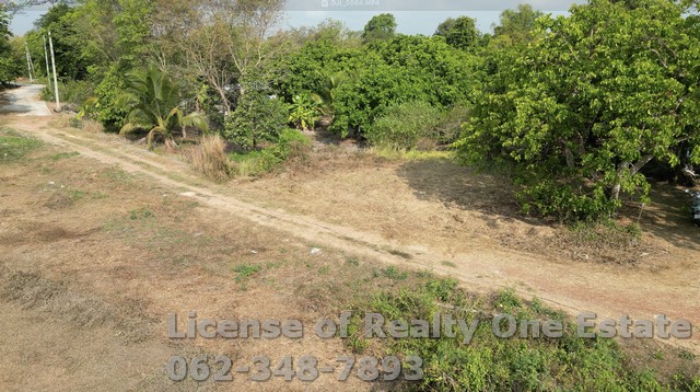 ประกาศฟรี! ซื้อ-ขาย-เช่า คอนโด บ้าน ทาวน์โฮม ที่ดิน และพื้นที่เชิงพาณิชย์ทั่วประเทศไทย ทุกทำเล ทุกงบประมาณ ไม่มีค่าใช้จ่าย ลงง่าย ขายไว เข้าถึงผู้ซื้อโดยตรง 2 251908pic1.jpg