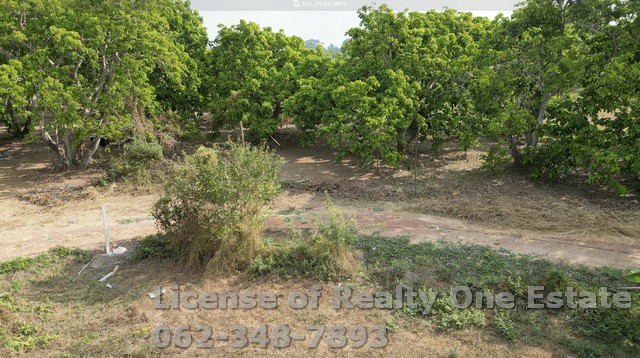 ประกาศฟรี! ซื้อ-ขาย-เช่า คอนโด บ้าน ทาวน์โฮม ที่ดิน และพื้นที่เชิงพาณิชย์ทั่วประเทศไทย ทุกทำเล ทุกงบประมาณ ไม่มีค่าใช้จ่าย ลงง่าย ขายไว เข้าถึงผู้ซื้อโดยตรง 5 251908pic4.jpg