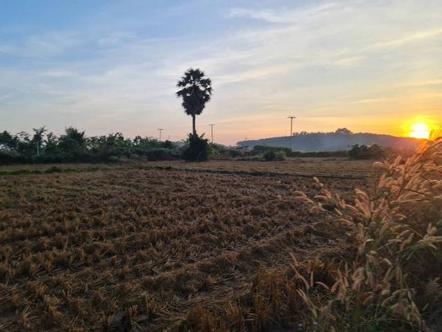 ประกาศฟรี! ซื้อ-ขาย-เช่า คอนโด บ้าน ทาวน์โฮม ที่ดิน และพื้นที่เชิงพาณิชย์ทั่วประเทศไทย ทุกทำเล ทุกงบประมาณ ไม่มีค่าใช้จ่าย ลงง่าย ขายไว เข้าถึงผู้ซื้อโดยตรง 3 7402pic2.jpg