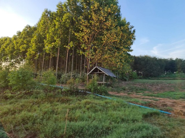 ประกาศฟรี! ซื้อ-ขาย-เช่า คอนโด บ้าน ทาวน์โฮม ที่ดิน และพื้นที่เชิงพาณิชย์ทั่วประเทศไทย ทุกทำเล ทุกงบประมาณ ไม่มีค่าใช้จ่าย ลงง่าย ขายไว เข้าถึงผู้ซื้อโดยตรง 4 7402pic3.jpg