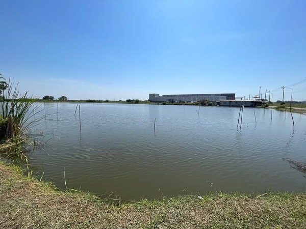 ประกาศฟรี! ซื้อ-ขาย-เช่า คอนโด บ้าน ทาวน์โฮม ที่ดิน และพื้นที่เชิงพาณิชย์ทั่วประเทศไทย ทุกทำเล ทุกงบประมาณ ไม่มีค่าใช้จ่าย ลงง่าย ขายไว เข้าถึงผู้ซื้อโดยตรง 3 513456pic2.jpg