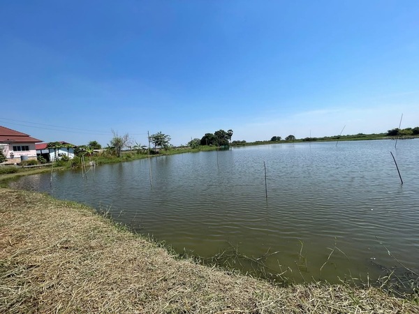 ประกาศฟรี! ซื้อ-ขาย-เช่า คอนโด บ้าน ทาวน์โฮม ที่ดิน และพื้นที่เชิงพาณิชย์ทั่วประเทศไทย ทุกทำเล ทุกงบประมาณ ไม่มีค่าใช้จ่าย ลงง่าย ขายไว เข้าถึงผู้ซื้อโดยตรง 4 513456pic3.jpg