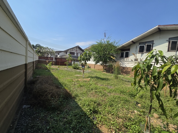 ประกาศฟรี! ซื้อ-ขาย-เช่า คอนโด บ้าน ทาวน์โฮม ที่ดิน และพื้นที่เชิงพาณิชย์ทั่วประเทศไทย ทุกทำเล ทุกงบประมาณ ไม่มีค่าใช้จ่าย ลงง่าย ขายไว เข้าถึงผู้ซื้อโดยตรง 2 513378pic1.jpg