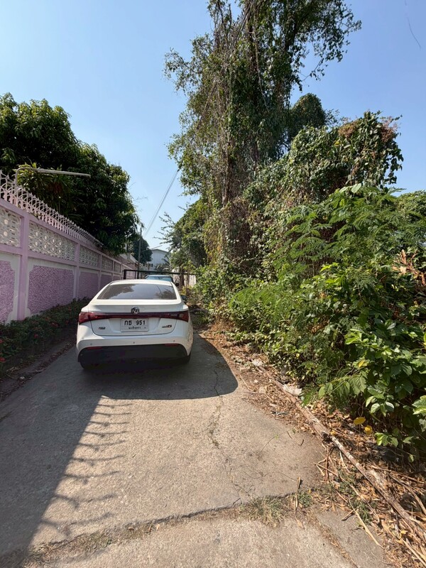 ประกาศฟรี! ซื้อ-ขาย-เช่า คอนโด บ้าน ทาวน์โฮม ที่ดิน และพื้นที่เชิงพาณิชย์ทั่วประเทศไทย ทุกทำเล ทุกงบประมาณ ไม่มีค่าใช้จ่าย ลงง่าย ขายไว เข้าถึงผู้ซื้อโดยตรง 5 513156pic4.jpg