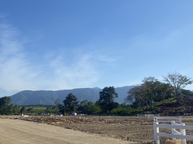 ประกาศฟรี! ซื้อ-ขาย-เช่า คอนโด บ้าน ทาวน์โฮม ที่ดิน และพื้นที่เชิงพาณิชย์ทั่วประเทศไทย ทุกทำเล ทุกงบประมาณ ไม่มีค่าใช้จ่าย ลงง่าย ขายไว เข้าถึงผู้ซื้อโดยตรง 5 293918pic4.jpg