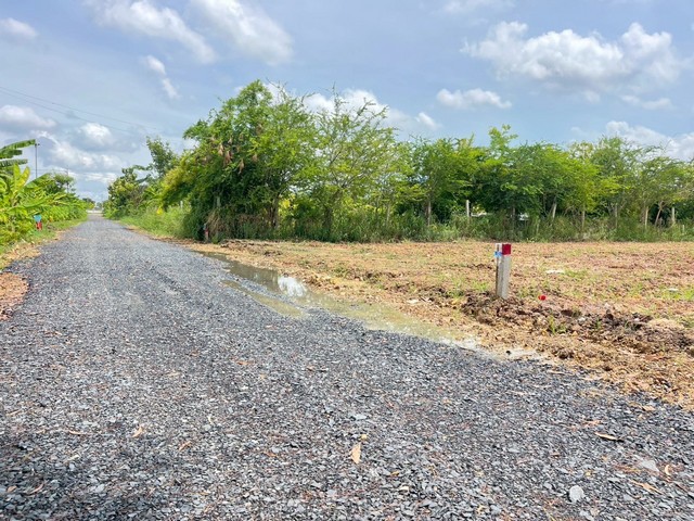 ประกาศฟรี! ซื้อ-ขาย-เช่า คอนโด บ้าน ทาวน์โฮม ที่ดิน และพื้นที่เชิงพาณิชย์ทั่วประเทศไทย ทุกทำเล ทุกงบประมาณ ไม่มีค่าใช้จ่าย ลงง่าย ขายไว เข้าถึงผู้ซื้อโดยตรง 2 293893pic1.jpg