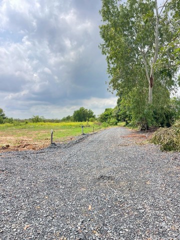 ประกาศฟรี! ซื้อ-ขาย-เช่า คอนโด บ้าน ทาวน์โฮม ที่ดิน และพื้นที่เชิงพาณิชย์ทั่วประเทศไทย ทุกทำเล ทุกงบประมาณ ไม่มีค่าใช้จ่าย ลงง่าย ขายไว เข้าถึงผู้ซื้อโดยตรง 3 293893pic2.jpg