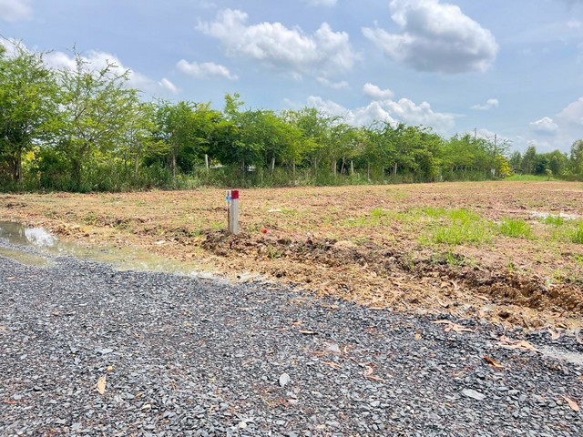 ประกาศฟรี! ซื้อ-ขาย-เช่า คอนโด บ้าน ทาวน์โฮม ที่ดิน และพื้นที่เชิงพาณิชย์ทั่วประเทศไทย ทุกทำเล ทุกงบประมาณ ไม่มีค่าใช้จ่าย ลงง่าย ขายไว เข้าถึงผู้ซื้อโดยตรง 4 293893pic3.jpg