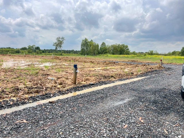 ประกาศฟรี! ซื้อ-ขาย-เช่า คอนโด บ้าน ทาวน์โฮม ที่ดิน และพื้นที่เชิงพาณิชย์ทั่วประเทศไทย ทุกทำเล ทุกงบประมาณ ไม่มีค่าใช้จ่าย ลงง่าย ขายไว เข้าถึงผู้ซื้อโดยตรง 5 293893pic4.jpg