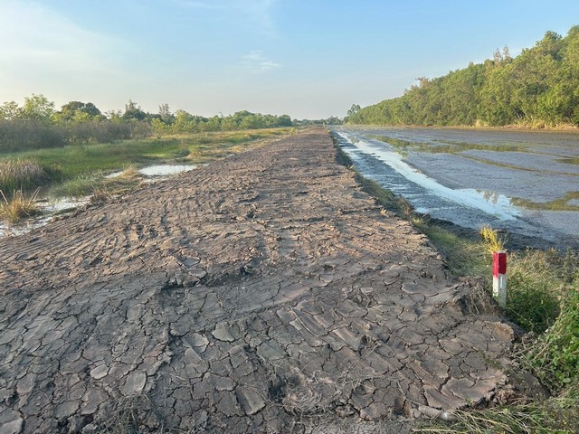 ประกาศฟรี! ซื้อ-ขาย-เช่า คอนโด บ้าน ทาวน์โฮม ที่ดิน และพื้นที่เชิงพาณิชย์ทั่วประเทศไทย ทุกทำเล ทุกงบประมาณ ไม่มีค่าใช้จ่าย ลงง่าย ขายไว เข้าถึงผู้ซื้อโดยตรง 4 293784pic3.jpg