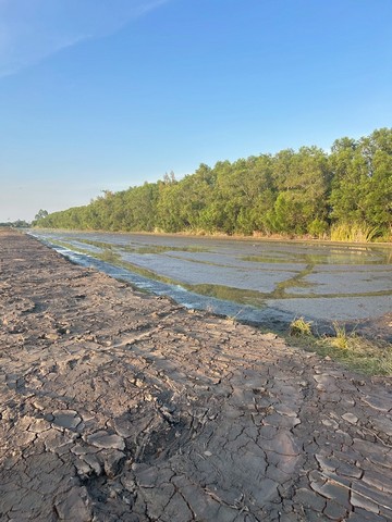 ประกาศฟรี! ซื้อ-ขาย-เช่า คอนโด บ้าน ทาวน์โฮม ที่ดิน และพื้นที่เชิงพาณิชย์ทั่วประเทศไทย ทุกทำเล ทุกงบประมาณ ไม่มีค่าใช้จ่าย ลงง่าย ขายไว เข้าถึงผู้ซื้อโดยตรง 5 293784pic4.jpg