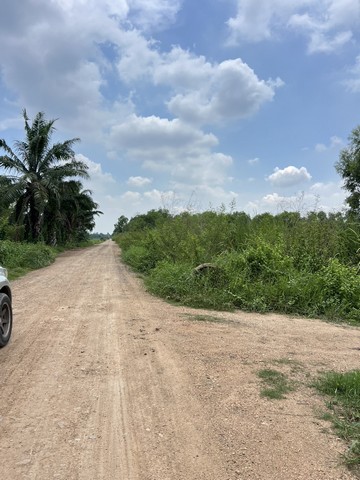 ประกาศฟรี! ซื้อ-ขาย-เช่า คอนโด บ้าน ทาวน์โฮม ที่ดิน และพื้นที่เชิงพาณิชย์ทั่วประเทศไทย ทุกทำเล ทุกงบประมาณ ไม่มีค่าใช้จ่าย ลงง่าย ขายไว เข้าถึงผู้ซื้อโดยตรง 4 293783pic3.jpg