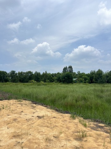 ประกาศฟรี! ซื้อ-ขาย-เช่า คอนโด บ้าน ทาวน์โฮม ที่ดิน และพื้นที่เชิงพาณิชย์ทั่วประเทศไทย ทุกทำเล ทุกงบประมาณ ไม่มีค่าใช้จ่าย ลงง่าย ขายไว เข้าถึงผู้ซื้อโดยตรง 5 293783pic4.jpg