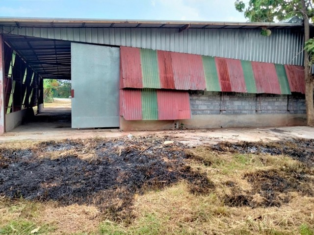 ประกาศฟรี! ซื้อ-ขาย-เช่า คอนโด บ้าน ทาวน์โฮม ที่ดิน และพื้นที่เชิงพาณิชย์ทั่วประเทศไทย ทุกทำเล ทุกงบประมาณ ไม่มีค่าใช้จ่าย ลงง่าย ขายไว เข้าถึงผู้ซื้อโดยตรง 5 251995pic4.jpg