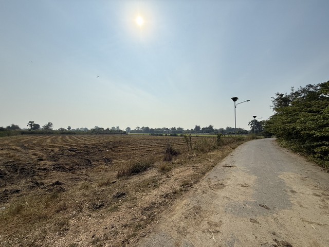 ประกาศฟรี! ซื้อ-ขาย-เช่า คอนโด บ้าน ทาวน์โฮม ที่ดิน และพื้นที่เชิงพาณิชย์ทั่วประเทศไทย ทุกทำเล ทุกงบประมาณ ไม่มีค่าใช้จ่าย ลงง่าย ขายไว เข้าถึงผู้ซื้อโดยตรง 2 251849pic1.jpg