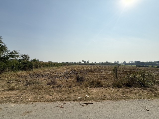 ประกาศฟรี! ซื้อ-ขาย-เช่า คอนโด บ้าน ทาวน์โฮม ที่ดิน และพื้นที่เชิงพาณิชย์ทั่วประเทศไทย ทุกทำเล ทุกงบประมาณ ไม่มีค่าใช้จ่าย ลงง่าย ขายไว เข้าถึงผู้ซื้อโดยตรง 5 251849pic4.jpg