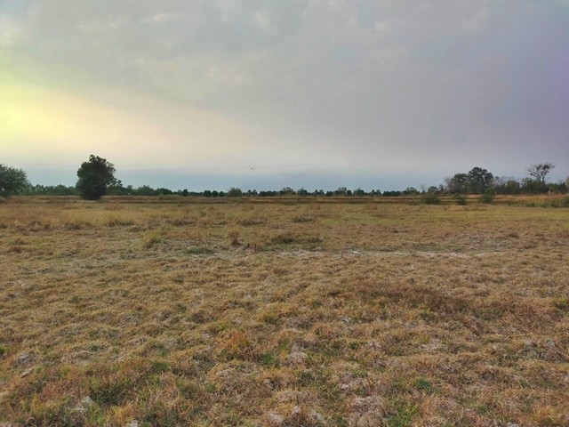 ประกาศฟรี! ซื้อ-ขาย-เช่า คอนโด บ้าน ทาวน์โฮม ที่ดิน และพื้นที่เชิงพาณิชย์ทั่วประเทศไทย ทุกทำเล ทุกงบประมาณ ไม่มีค่าใช้จ่าย ลงง่าย ขายไว เข้าถึงผู้ซื้อโดยตรง 2 251947pic1.jpg