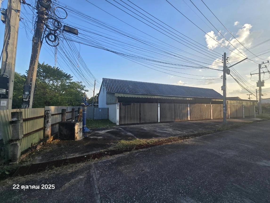 ประกาศฟรี! ซื้อ-ขาย-เช่า คอนโด บ้าน ทาวน์โฮม ที่ดิน และพื้นที่เชิงพาณิชย์ทั่วประเทศไทย ทุกทำเล ทุกงบประมาณ ไม่มีค่าใช้จ่าย ลงง่าย ขายไว เข้าถึงผู้ซื้อโดยตรง 3 251667pic2.jpg