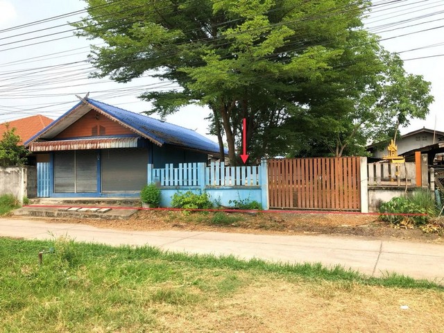 ประกาศฟรี! ซื้อ-ขาย-เช่า คอนโด บ้าน ทาวน์โฮม ที่ดิน และพื้นที่เชิงพาณิชย์ทั่วประเทศไทย ทุกทำเล ทุกงบประมาณ ไม่มีค่าใช้จ่าย ลงง่าย ขายไว เข้าถึงผู้ซื้อโดยตรง 2 251657pic1.jpg