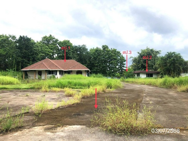 ประกาศฟรี! ซื้อ-ขาย-เช่า คอนโด บ้าน ทาวน์โฮม ที่ดิน และพื้นที่เชิงพาณิชย์ทั่วประเทศไทย ทุกทำเล ทุกงบประมาณ ไม่มีค่าใช้จ่าย ลงง่าย ขายไว เข้าถึงผู้ซื้อโดยตรง 3 251652pic2.jpg