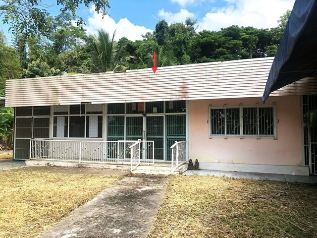 ประกาศฟรี! ซื้อ-ขาย-เช่า คอนโด บ้าน ทาวน์โฮม ที่ดิน และพื้นที่เชิงพาณิชย์ทั่วประเทศไทย ทุกทำเล ทุกงบประมาณ ไม่มีค่าใช้จ่าย ลงง่าย ขายไว เข้าถึงผู้ซื้อโดยตรง 3 251563pic2.jpg