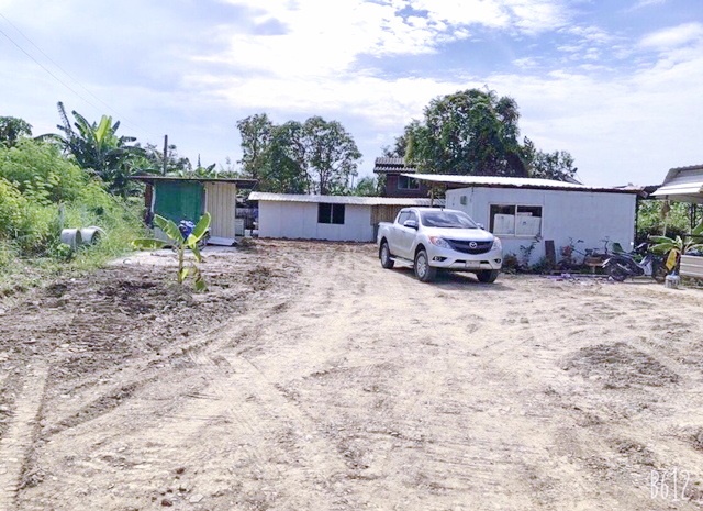 ประกาศฟรี! ซื้อ-ขาย-เช่า คอนโด บ้าน ทาวน์โฮม ที่ดิน และพื้นที่เชิงพาณิชย์ทั่วประเทศไทย ทุกทำเล ทุกงบประมาณ ไม่มีค่าใช้จ่าย ลงง่าย ขายไว เข้าถึงผู้ซื้อโดยตรง 5 314829pic4.jpg