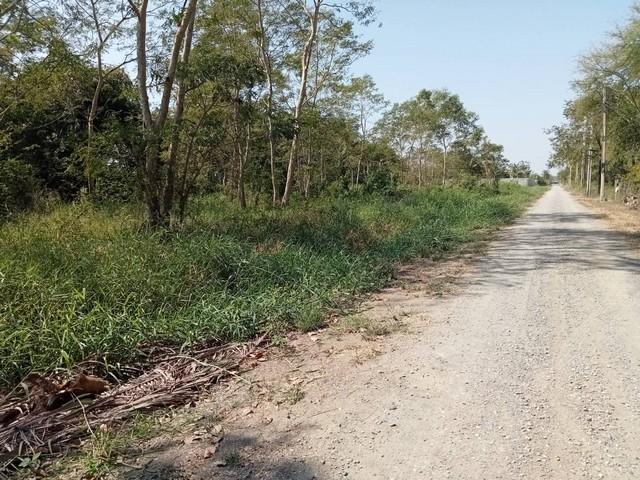 ประกาศฟรี! ซื้อ-ขาย-เช่า คอนโด บ้าน ทาวน์โฮม ที่ดิน และพื้นที่เชิงพาณิชย์ทั่วประเทศไทย ทุกทำเล ทุกงบประมาณ ไม่มีค่าใช้จ่าย ลงง่าย ขายไว เข้าถึงผู้ซื้อโดยตรง 3 513647pic2.jpg