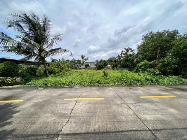 ประกาศฟรี! ซื้อ-ขาย-เช่า คอนโด บ้าน ทาวน์โฮม ที่ดิน และพื้นที่เชิงพาณิชย์ทั่วประเทศไทย ทุกทำเล ทุกงบประมาณ ไม่มีค่าใช้จ่าย ลงง่าย ขายไว เข้าถึงผู้ซื้อโดยตรง 2 33798pic1.jpg