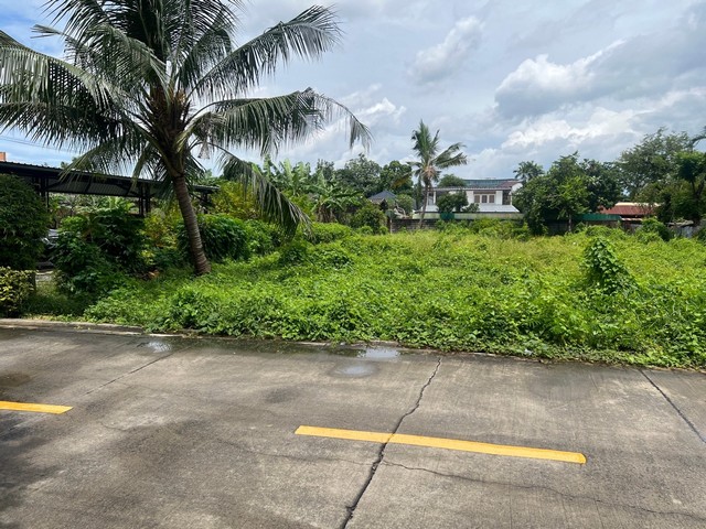 ประกาศฟรี! ซื้อ-ขาย-เช่า คอนโด บ้าน ทาวน์โฮม ที่ดิน และพื้นที่เชิงพาณิชย์ทั่วประเทศไทย ทุกทำเล ทุกงบประมาณ ไม่มีค่าใช้จ่าย ลงง่าย ขายไว เข้าถึงผู้ซื้อโดยตรง 3 33798pic2.jpg