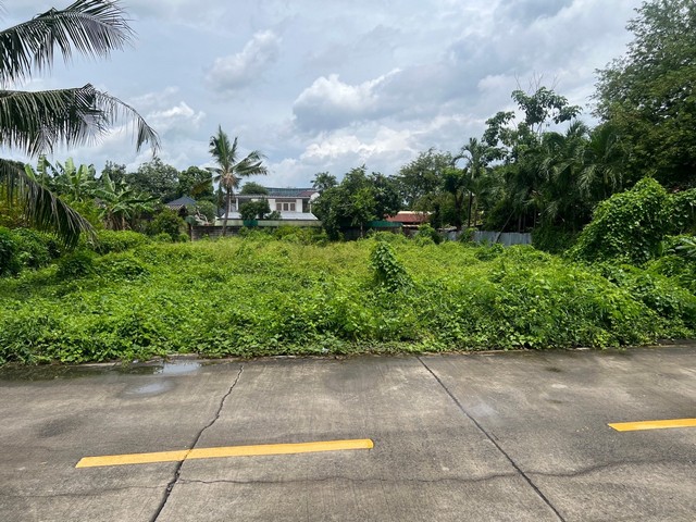 ประกาศฟรี! ซื้อ-ขาย-เช่า คอนโด บ้าน ทาวน์โฮม ที่ดิน และพื้นที่เชิงพาณิชย์ทั่วประเทศไทย ทุกทำเล ทุกงบประมาณ ไม่มีค่าใช้จ่าย ลงง่าย ขายไว เข้าถึงผู้ซื้อโดยตรง 4 33798pic3.jpg