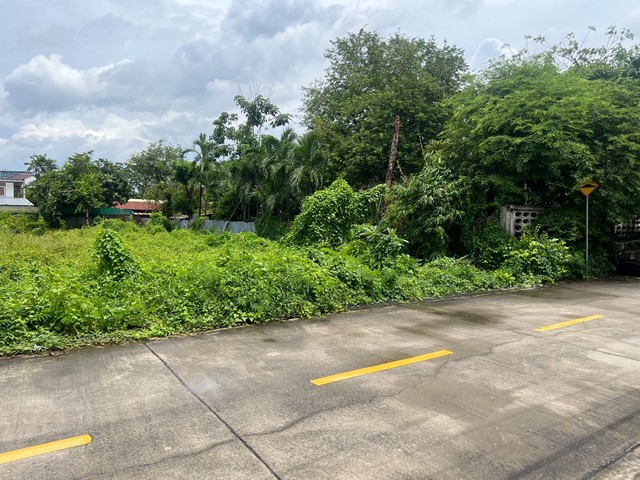 ประกาศฟรี! ซื้อ-ขาย-เช่า คอนโด บ้าน ทาวน์โฮม ที่ดิน และพื้นที่เชิงพาณิชย์ทั่วประเทศไทย ทุกทำเล ทุกงบประมาณ ไม่มีค่าใช้จ่าย ลงง่าย ขายไว เข้าถึงผู้ซื้อโดยตรง 5 33798pic4.jpg