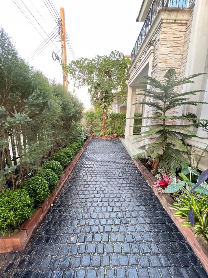 ประกาศฟรี! ซื้อ-ขาย-เช่า คอนโด บ้าน ทาวน์โฮม ที่ดิน และพื้นที่เชิงพาณิชย์ทั่วประเทศไทย ทุกทำเล ทุกงบประมาณ ไม่มีค่าใช้จ่าย ลงง่าย ขายไว เข้าถึงผู้ซื้อโดยตรง 3 512925pic2.jpg